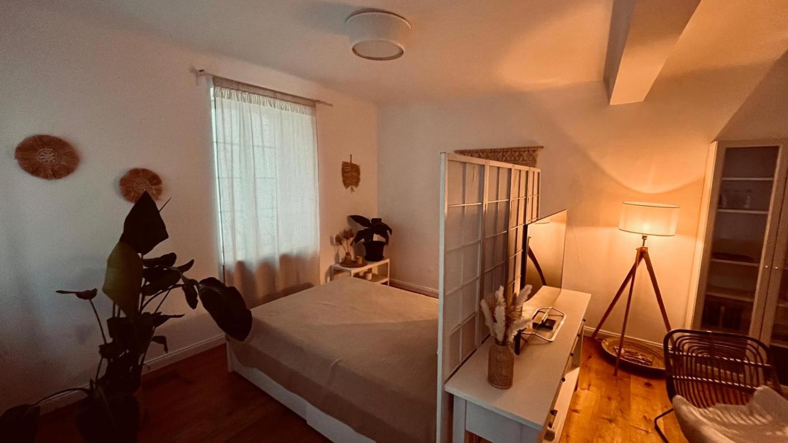 Apartment Am Schloss - Charme 萨尔布吕肯 外观 照片
