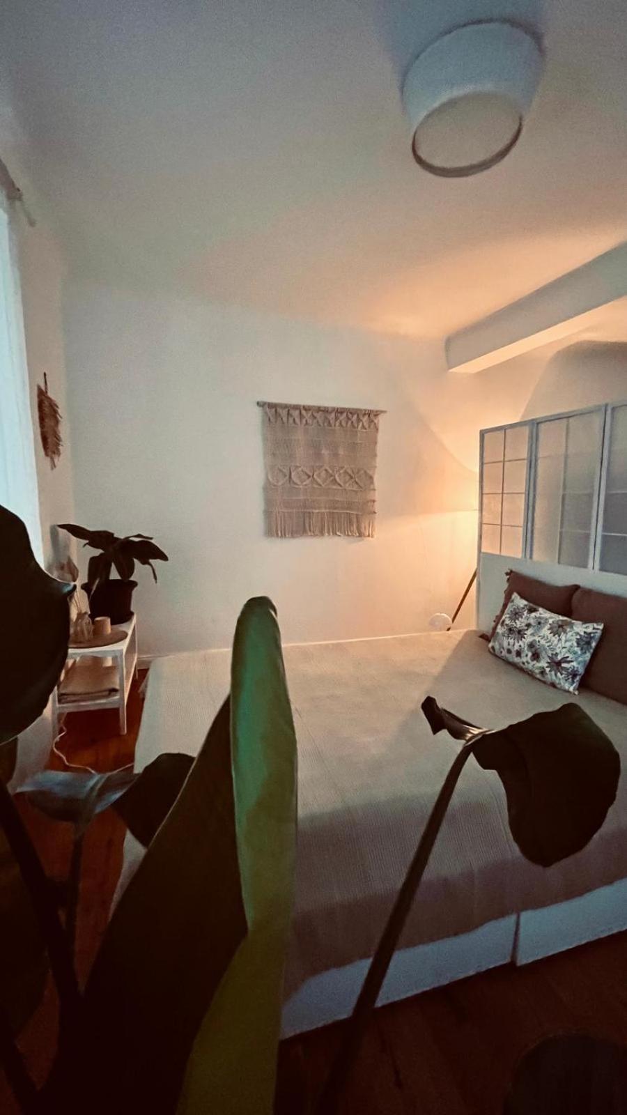 Apartment Am Schloss - Charme 萨尔布吕肯 外观 照片