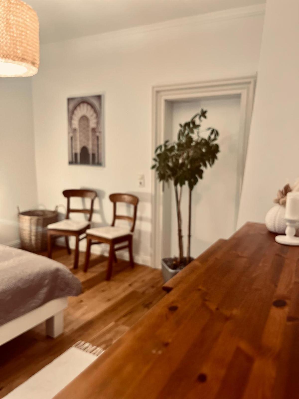 Apartment Am Schloss - Charme 萨尔布吕肯 外观 照片